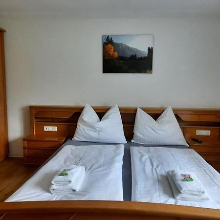 Zlemer - Gebirgsblick Tauplitz Buitenkant foto