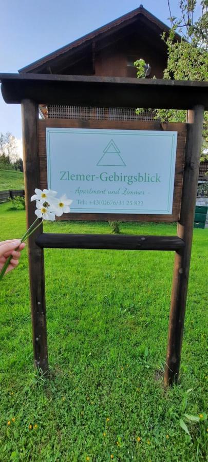 Zlemer - Gebirgsblick Tauplitz Buitenkant foto